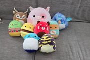 squish mellow pack