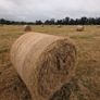 Round Hay bales Image 2