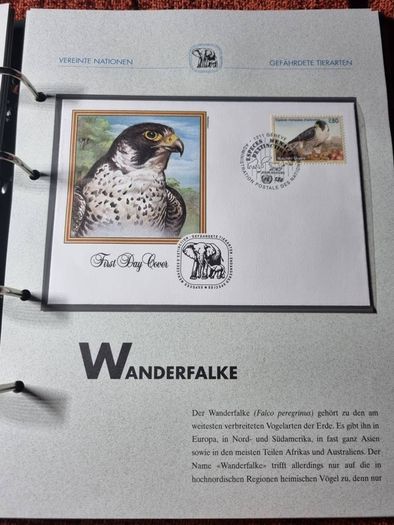 United Nations Vienna and Geneva FDC Collection
