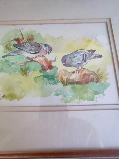 Lovely Framed Watercolor Painting Signed C. Collins .