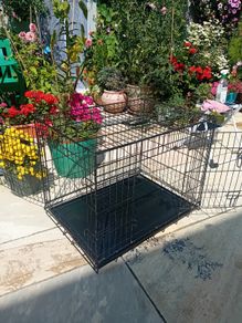 Medium folding dog cage