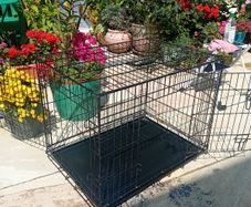 Medium folding dog cage