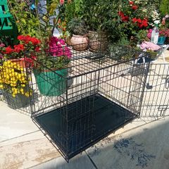 Medium folding dog cage