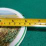 antique plate Image 3