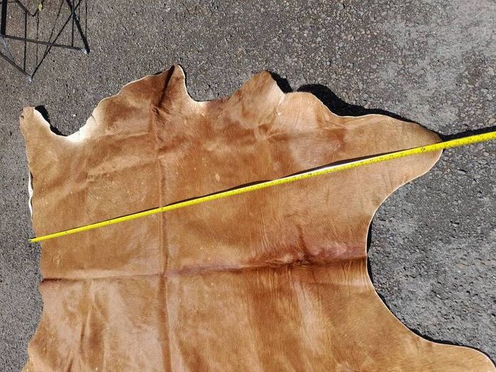 Large Cow Hide