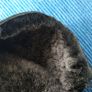 Gloves  XL Image 5
