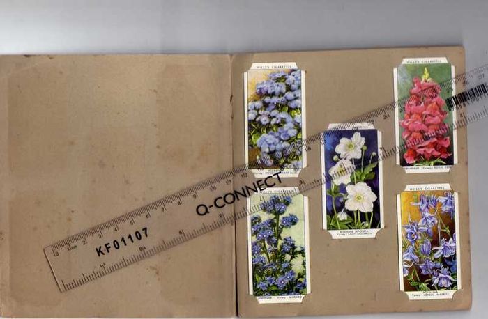 Wills's Cigarette Picture-card Album  Of Garden Flowers