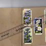 Wills's Cigarette Picture-card Album  Of Garden Flowers Image 4