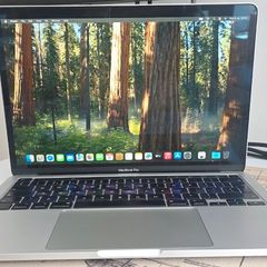 MacBook pro 16,3 model 13.3 2020 16gb