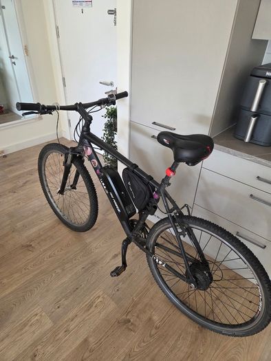 Electric bike