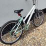 bike Image 6