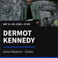 Dermot Kennedy Pitch Standing Aviva 11th July