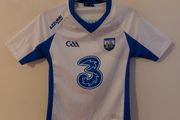waterford gaa jersey
