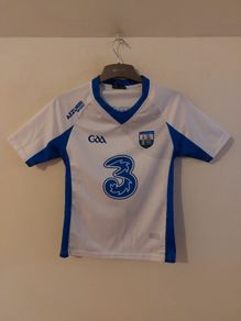waterford gaa jersey