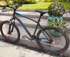 mens bike