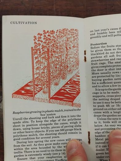 4 Letts Grow 1970s Books