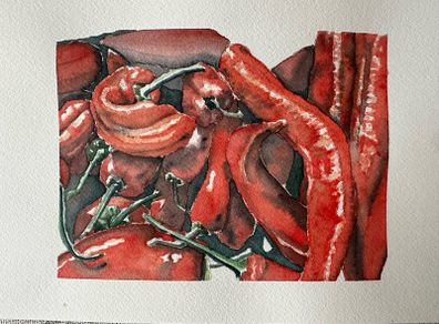 Watercolour - Red Chili's