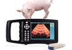 Veterinary Ultrasonic Scanner Machine, Ultrasonic Machine for Pregnancy with 4 Types of Pseudo Colours and 5.6 Inch TFT Colour Screen Sector Horse/Equine/Cow/Sheep Use