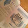 Book, The Rough Guide to Babies Image 3