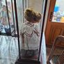 Collector's Porcelain Doll, In A very Large Mahogany Display Case, PRICE IS FOR 1 ONLY these came from a Pub contents, Image 5