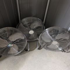 Fans