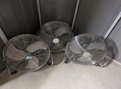 Fans
