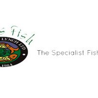 Nicksfish Jobs in Ireland