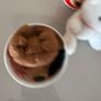 Vintage Christmas Coca cola soft toys in can Image 9