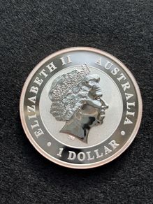 2013 Silver 1 oz Koala
