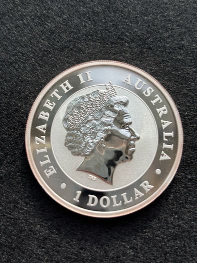 2013 Silver 1 oz Koala