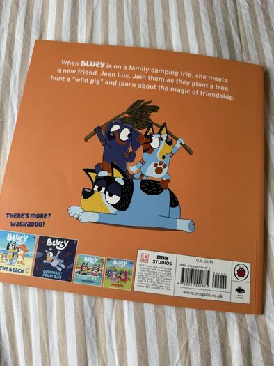 Bluey kids book bundle