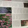 The RHS A-Z Garden Encyclopedia (Hardbck, 1996) Image 9