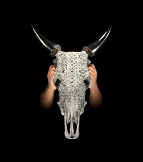 Skull, Genuine Bull Skull