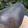 Victorian Brass Coal Scuttle Shovel Image 10