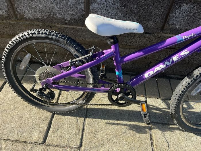 Dawes Paris 20 inch girls bike