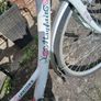 lady bike mayfair low frame Image 3