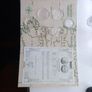 100 Years of Freedom: Rare Limited Edition Gold Coin & Ingot Set Image 2
