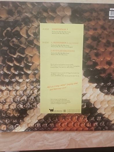 Wet Wet Wet 12" - Temptation
