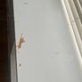 TV Unit / Sideboard Image 5