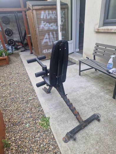 Gym Bench and Preacher Curl