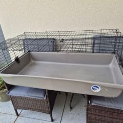 Free guinea pig cage