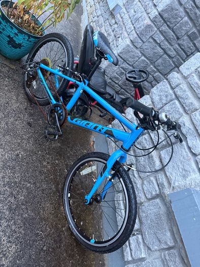 Giant Kids Bike age 5-8/9 years