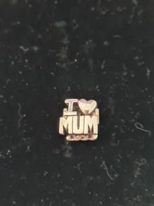 Silver  charms