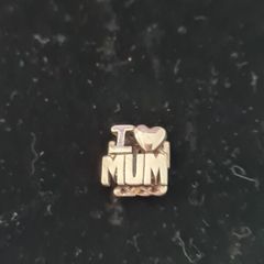 Silver  charms