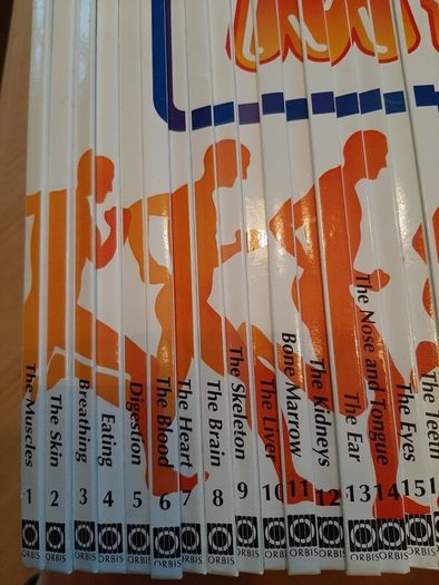How My Body Works. vol 1-50 collectable set