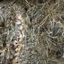 Round bale silage and haylage,Square bales haylage Image 2