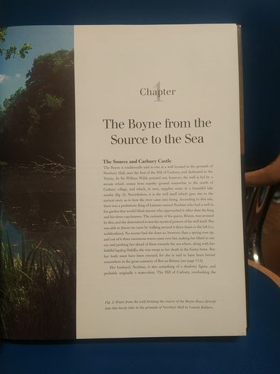 Treasures of the Boyne Valley - Peter Harbison