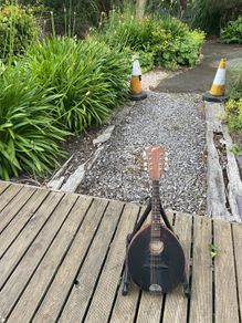 flatiron mandolin