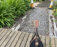 flatiron mandolin