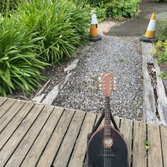 flatiron mandolin